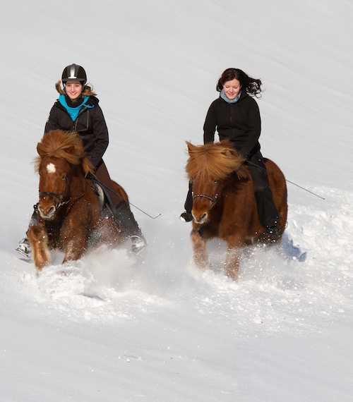 WinterReitwaesche_page_1